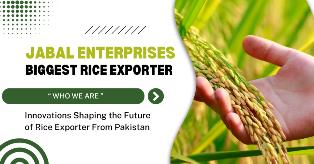 What We Stand For Jabal Businesses A Reliable Pakistan rice exporter